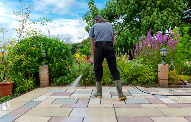 Best Sidewalk and Walkway Cleaning  in Pulaski, NY